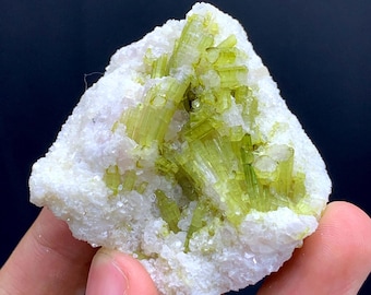 Cristaux de tourmaline verte sur lépidolite du Pakistan - 57 grammes