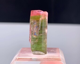 Cristal de tourmaline bicolore d'Afghanistan - 10,20 carats