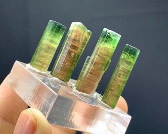 Bicolor Tourmaline Crystals From Afghanistan - 53.05 Carats