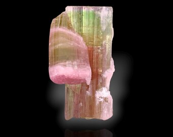 Cristal de tourmaline bicolore d'Afghanistan - 25,0 carats
