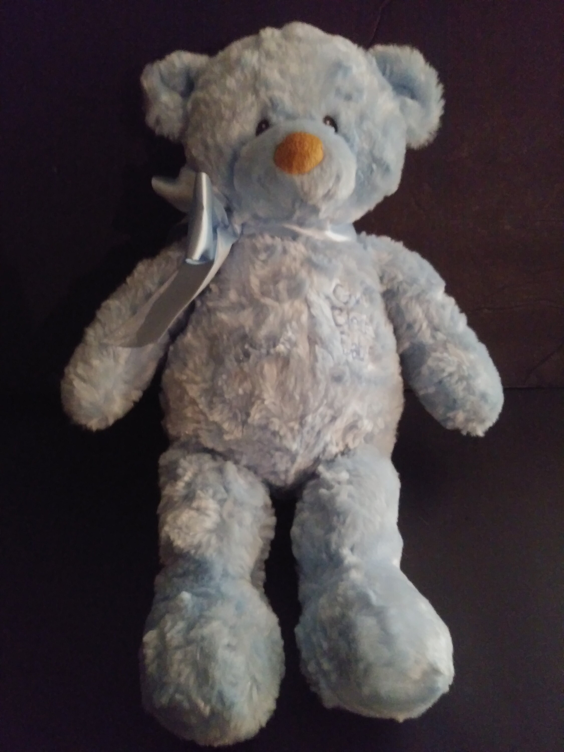 Baby Gund God Bless Baby Blue Teddy 