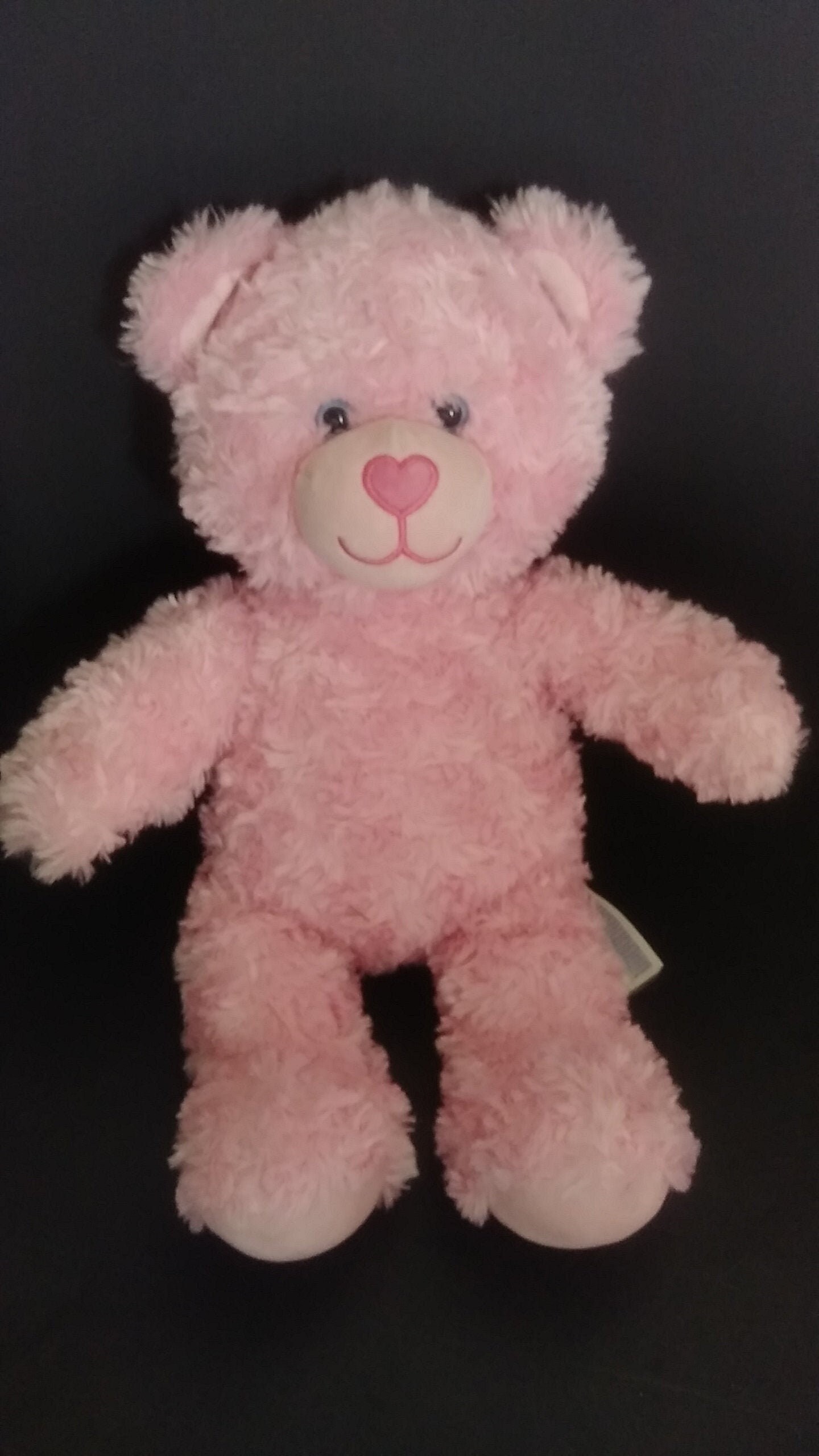 pink fluffy teddy bear