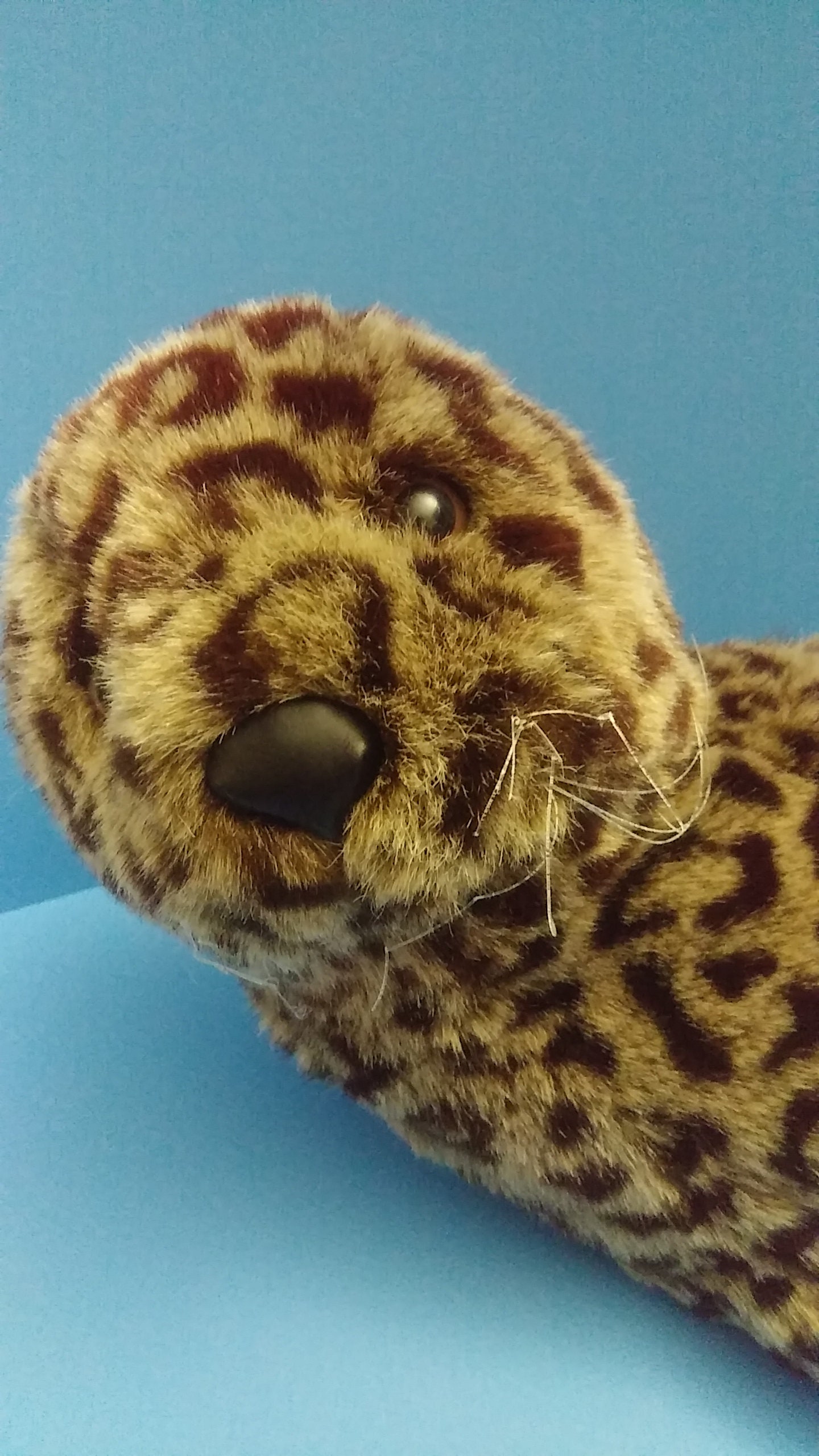 K&M Toys International Leopard Spotted Seal Peluche Stuff Etsy