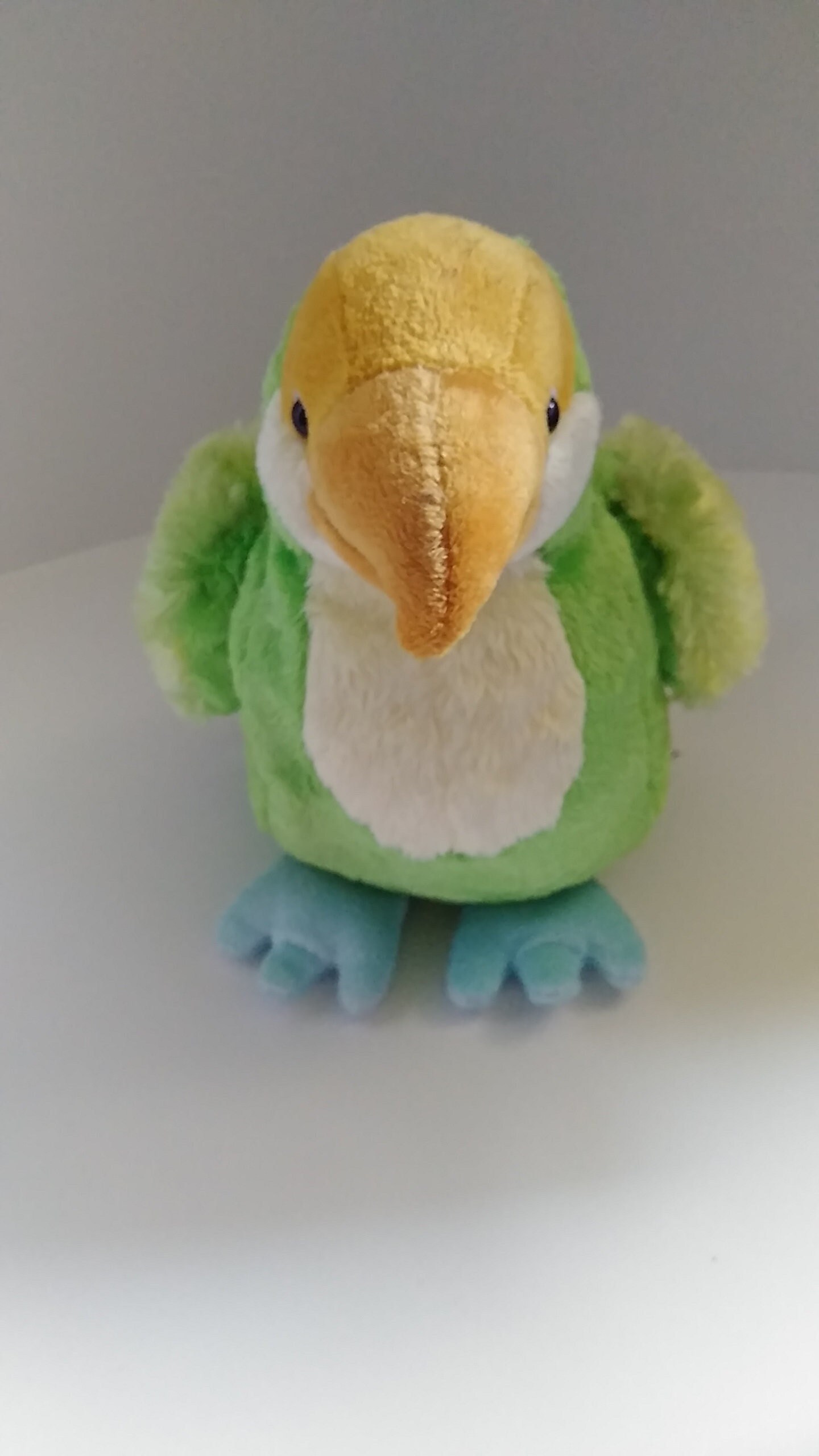 parakeet webkinz