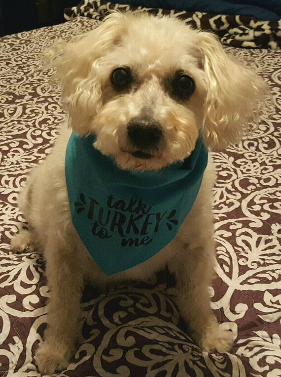 thanksgiving dog bandana