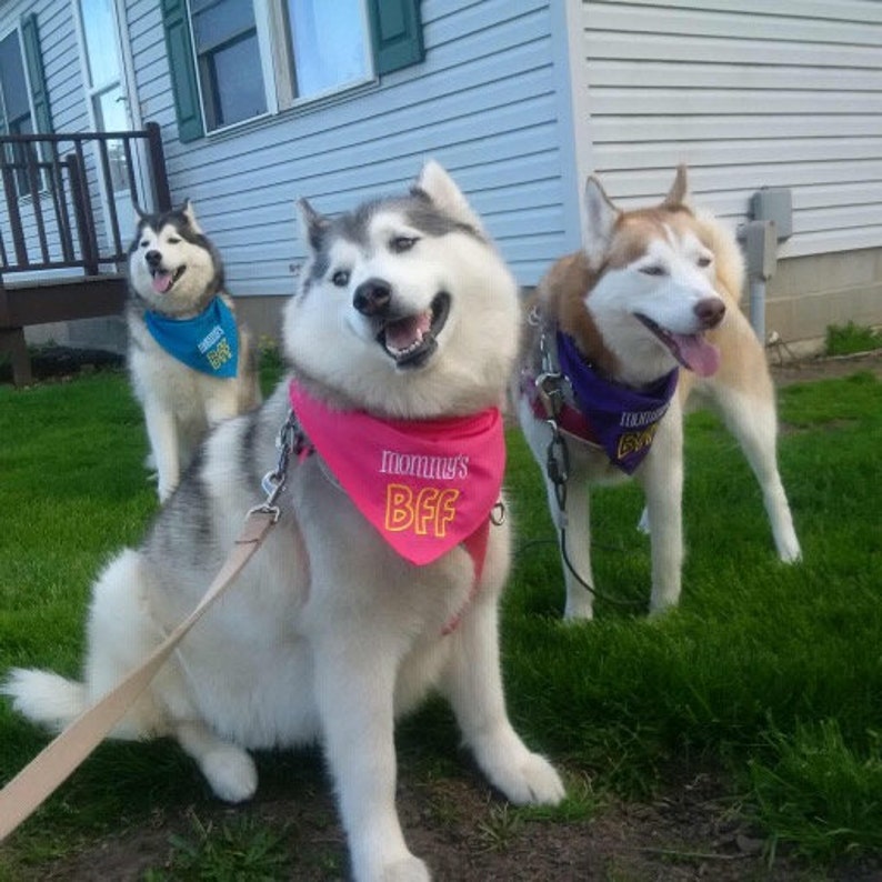 Mommy/'s BFF Embroidered Dog Bandana