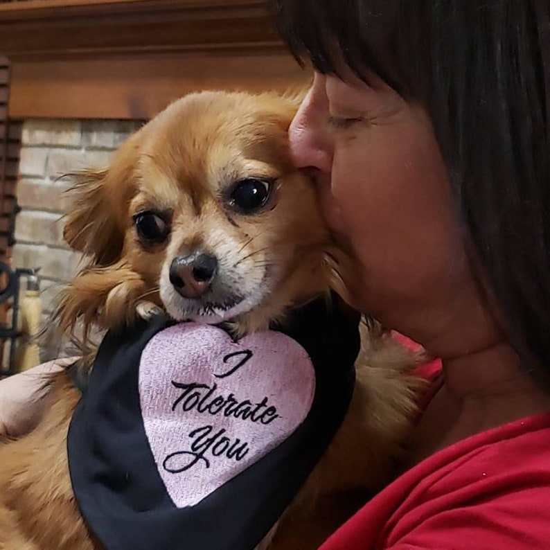 I Tolerate You Valentine/'s Day Dog Bandana