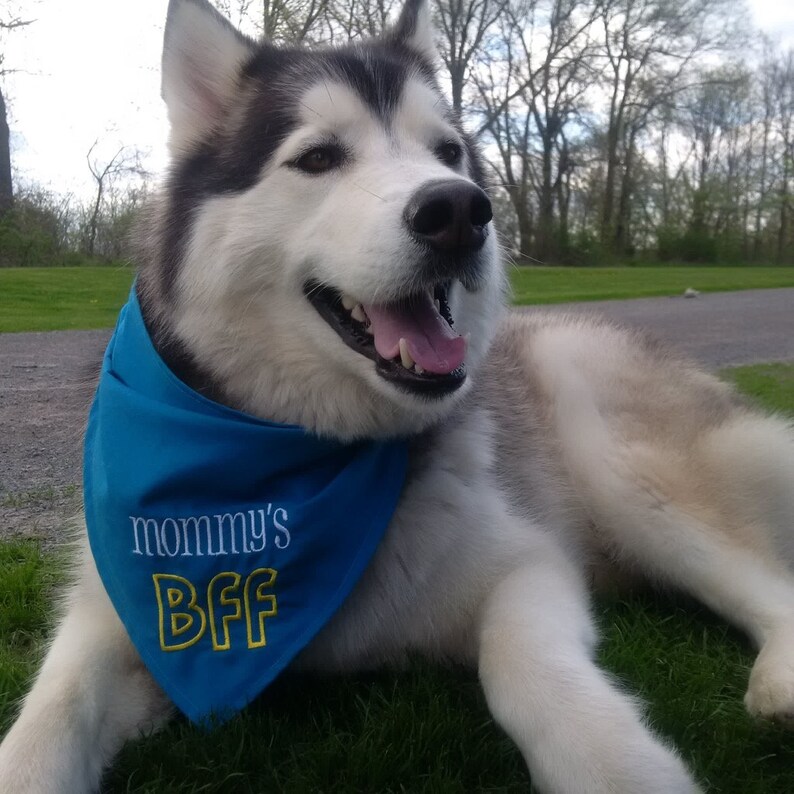 Mommy/'s BFF Embroidered Dog Bandana