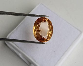 May include: An oval-cut, golden-yellow gemstone held by tweezers. The gem has a polished surface and a light-colored interior. It rests on a white, rectangular surface, suggesting a display setting. The gemstone's color ranges from amber to light orange.