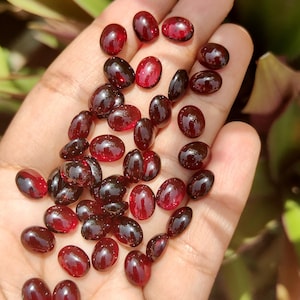 Può includere: Una collezione di numerose piccole pietre preziose granato rosso scuro, di forma ovale, con una finitura cabochon liscia e lucida. Ogni pietra mostra una qualità traslucida con una ricca tonalità cremisi scuro.