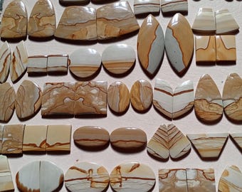 Owyhee Jasper Earring Pair: Scenic Square Cabochons, Mirror Cut