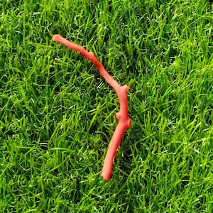 May include: A vibrant red coral branch rests on a bed of bright green grass. The coral has a natural, organic shape with several small protrusions along its length. The contrast between the red coral and the green grass creates a striking visual.