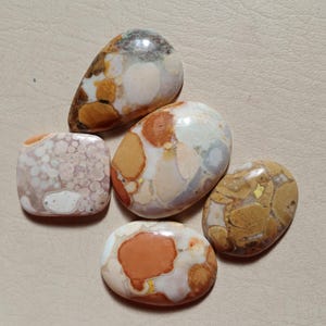 Può includere: Cinque pietre levigate di varie forme, che mostrano un mix di beige, marrone, arancione e bianco. Le pietre hanno motivi e texture unici, perfette per la creazione di gioielli o collezionismo.