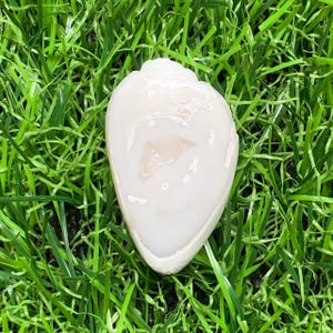 100% Natural Fossilized Snail Shell A rare specimen Crystal collectors, fossil lovers, unique home decor, or spiritual gifts