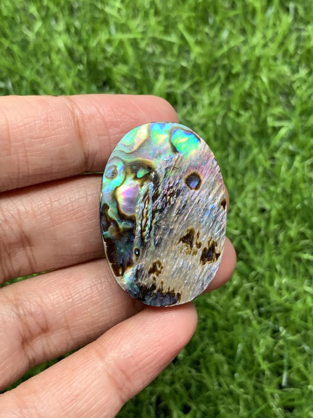 Unique Flash Natural Abalone Shell Cabochon • Iridescent Oval Ocean ...