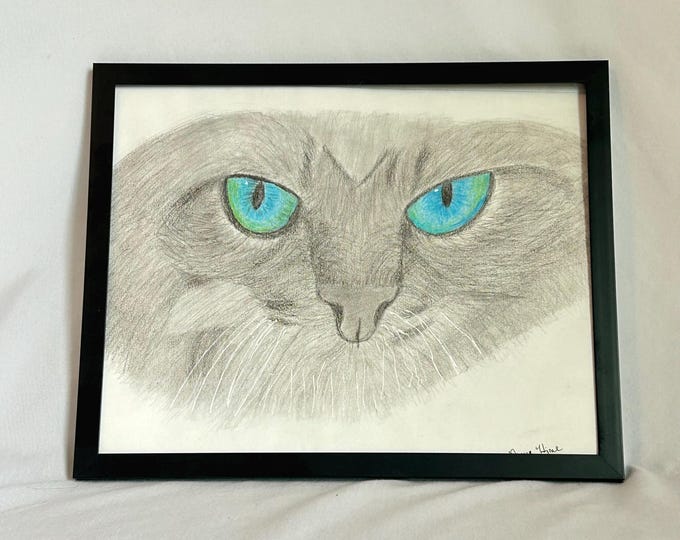 Piercing Gaze Cat Drawing – Framed Pencil Art with Bright Blue Eyes – Feline Wall Decor