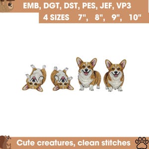 Könnte beinhalten: Gestickte Corgi-Hunde-Designs in verschiedenen Posen. Das Bild enthält Text, der vier Größen angibt: 7", 8", 9" und 10". Der Text erwähnt auch "Cute creatures, clean stitches."