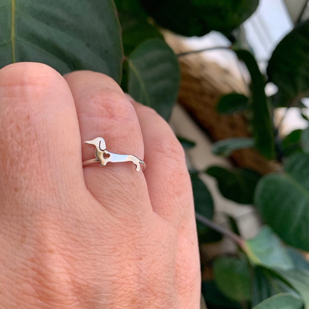 Carte D'anniversaire Teckel : Chien Saucisse Avec Chapeau De Fête