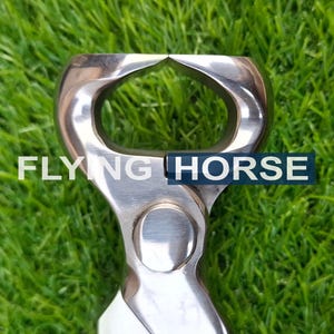 Alicate para casco de cavalo em aço inoxidável - 12 polegadas