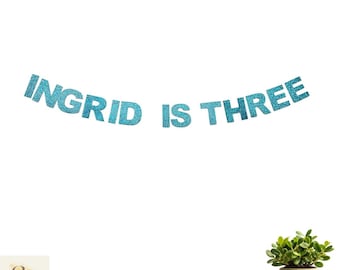 Custom Banner, Baby Name Bunting, Birthday Party Decor, Custom Wedding Banner, Any Text Sign