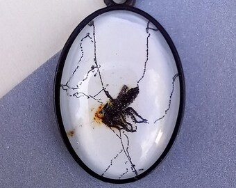 Preserved Cobweb Pendant: Real Spider Web with Dead Fly Necklace