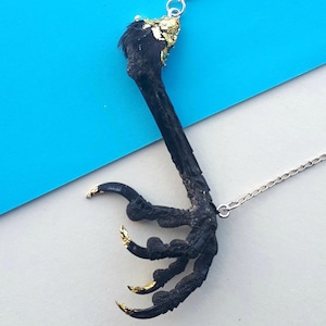Crow Claw Necklace ~ Real Genuine Authentic Natural ~ Bird Feet Talon Pendant ~ Gold Nails