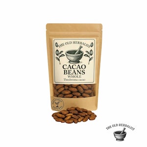 Whole Cacao Beans – Criollo Theobroma cacao