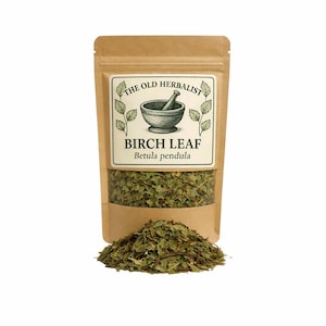 白樺の葉 | シラカバノキ | ルーズリーフ