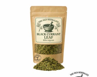 Black Currant Leaf | Ribes nigrum | Loose Leaf