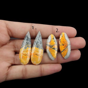 Jasper Cabochon Pair: Matching Gemstones for Earrings