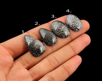 Black Fossil Coral Cabochon: Designer Gemstone for Jewelry Making