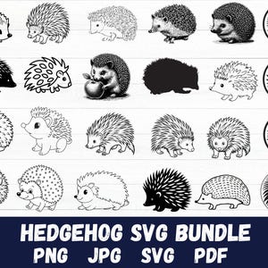 Hedgehog Svg - Hedgehog Cricut - Hedgehog Clip Art - Hedgehog Clipart - Cut Files For Cricut - Hedgehog Silhouette - Instant Download