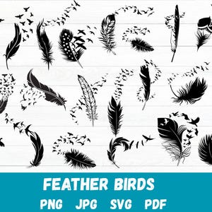 Feather birds svg, Feather svg bundle, Flock of birds feather svg, flying birds svg, Feather clipart, Silhouette feather, Png feather