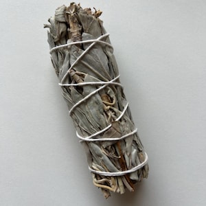White Sage Smudge Kit with Palo Santo Sticks for Cleansing Negative Energy, Meditation, Spiritual Healing, Natural Incense Bundle