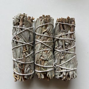 White Sage Smudge Sticks Pack of 3 for Energy Clearing, Meditation, Home Cleansing, Spiritual Incense Rituals, Yoga and Healing