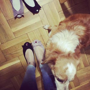 May include: A pair of black and pink ballet flats with a dog in the background.