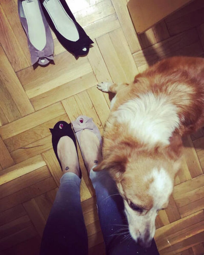 May include: A pair of black and pink ballet flats with a dog in the background.
