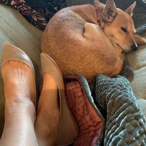May include: A pair of light brown leather ballet flats with pointed toes. The flats are on a person's feet. A small brown dog is curled up on a couch behind the person's feet.