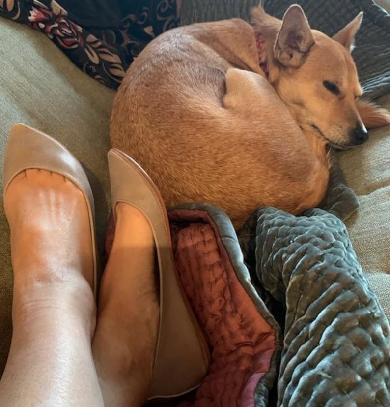 May include: A pair of light brown leather ballet flats with pointed toes. The flats are on a person's feet. A small brown dog is curled up on a couch behind the person's feet.