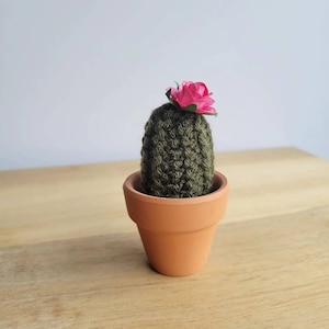 Mini • Knitted Cactus Plant • Dark Olive Green • Pink Rose Flower