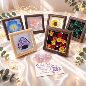 Shadowbox - diverse motiv - liten