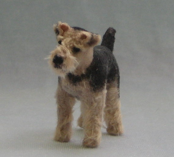 mini welsh terrier
