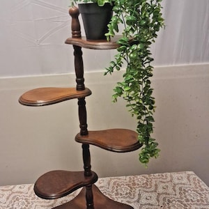 May include: A dark wooden plant stand with four curved shelves. A black pot with a green plant sits on the top shelf. The stand has a decorative base and a tall, slender design. The plant has long, trailing green leaves.