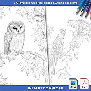 Op de afbeelding: Twee grijstinten kleurplaten met gedetailleerde illustraties van een uil en twee papegaaien op boomtakken met esdoornbladeren. De tekst "2 Grayscale Coloring pages by Alena Lazareva" staat bovenaan. De woorden "Instant Download" staan onderaan.