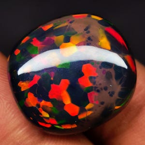 May include: A polished, round black opal gemstone with vibrant flashes of red, orange, yellow, and green. The opal is held in a hand, showcasing its colorful play-of-color against a dark background. A unique and eye-catching gemstone.