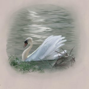 Illustrazione in digitale