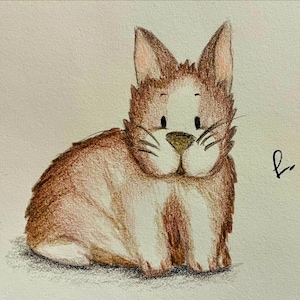 Illustrazioni per bambini