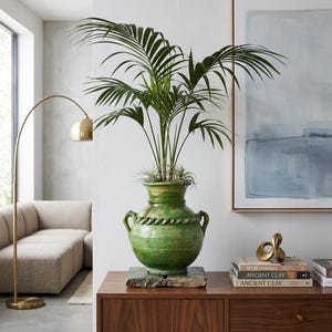 May include: A green glazed ceramic vase with two side handles and a rope-like decorative band around the neck, containing a tall green palm plant and small air plants, resting on a flat stone base atop a wooden cabinet surface.