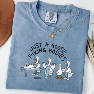 Silly Goose Physical Therapy Shirt,Funny Physical Therapist Shirt,Physical Therapy Lover Gift,Therapist Appreciation Gift
