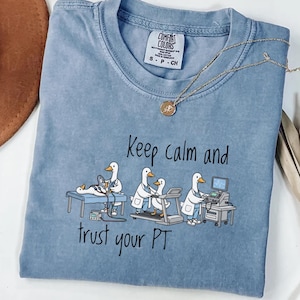 Silly Goose Physical Therapy Shirt,Physical Therapy Lover Gift,Therapist Appreciation Gift,Funny Physical Therapist Shirt